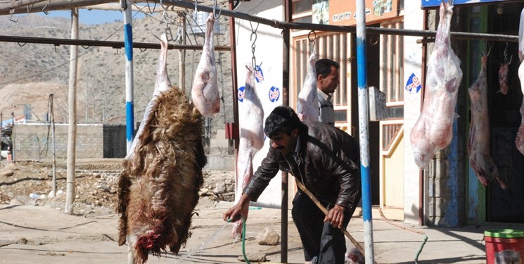 هشدار به کشتارکنندگان غیرمجاز دام و طیور/ 173 مرکز عرضه مرغ زنده در استان کرمانشاه پلمب شد