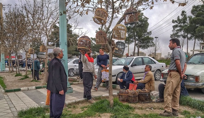 کمین کرونا در بازار پرنده‌فروشان کرمانشاه