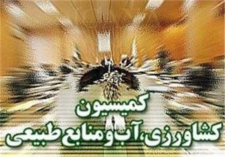 چرا نهاده‌ها قطره‌چکانی به دست تولیدکننده می‌رسد؟