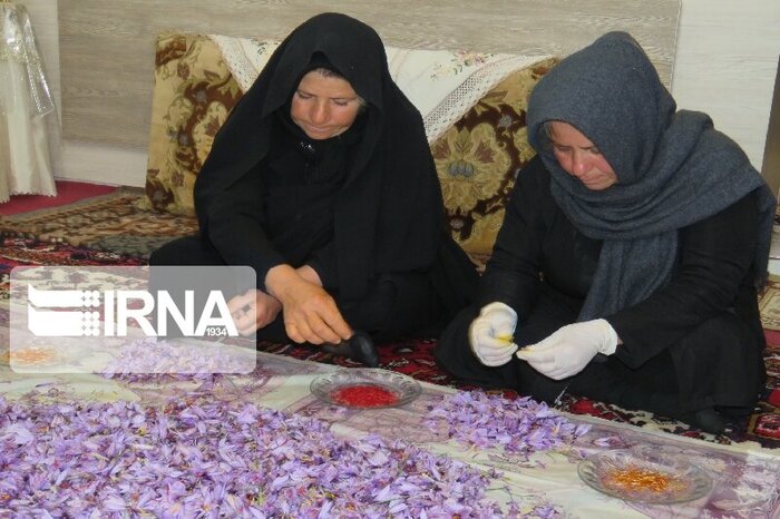 ۱۷ هزار زن روستایی آذربایجان‌غربی تحت‌پوشش بیمه اجتماعی هستند