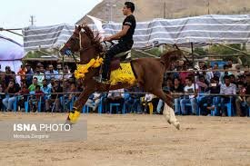 برگزاری جشنواره زیبایی اسب در مشگین‌شهر