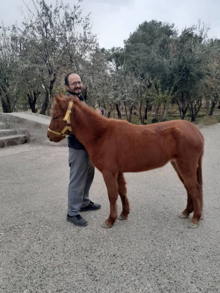 ایران به عنوان تنها منشأ اسب کاسپین در جهان به ثبت رسید