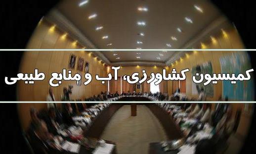  گزارش نهایی هیات تحقیق و تفحص از «عملکرد وزارت جهاد درخصوص چگونگی اجرای واردات محصولات کشاورزی و دامی با استفاده از ارز و تنظیم بازار » ارائه خواهد شد.
